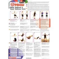 Togu Dynair Ballkissen "Senso 33 Cm" Ball Cushion -Fitness Equipment Store 128 4007 1