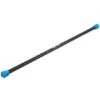 Sport-Thieme Weighted Steel Bar -Fitness Equipment Store 140 1110