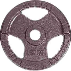 Sport-Thieme Competition Cast Iron Weight Disc -Fitness Equipment Store 146 2308