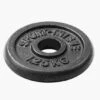 Sport-Thieme "Cast Iron" Weight Plates -Fitness Equipment Store 146 4812