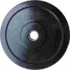Sport-Thieme "Bumper Plate" Weight Disc, Black