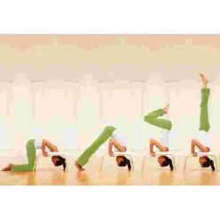 Feetup "Classic" Trainer -Fitness Equipment Store 259 6802 2