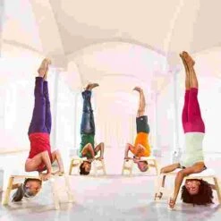 Feetup "Classic" Trainer -Fitness Equipment Store 259 6802 3