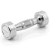 Sport-Thieme Chrome Dumbbell -Fitness Equipment Store 269 5411