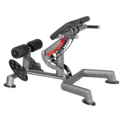 Sport-Thieme "OV" Back Extension Bench -Fitness Equipment Store 307 8903