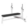 Sport-Thieme "SQ" Olympic Bench 2 Sport-Thieme "SQ" Olympic Bench -Fitness Equipment Store 312 3108
