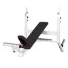 Sport-Thieme "SQ" Incline Bench