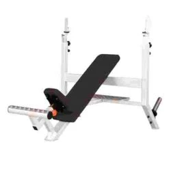 Sport-Thieme "SQ" Incline Bench