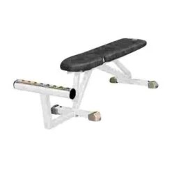 Fitness Equipment Store 22 Sport-Thieme "SQ" Multipurpose Bench